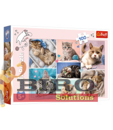 TF Puzzle "100" - In lumea pisicilor